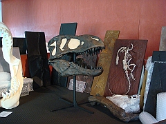 012 Cranbrook Institute of Science [2008 Jan 02]